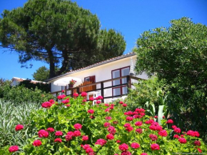 La Fourmi du Levant